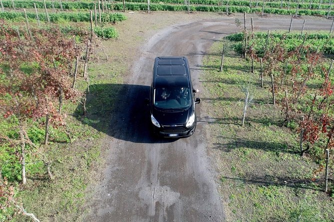Shared Transfer from Sorrento to Naples Airport - Vehicle Comfort: Clean, Air-Conditioned, and Luggage-Friendly
