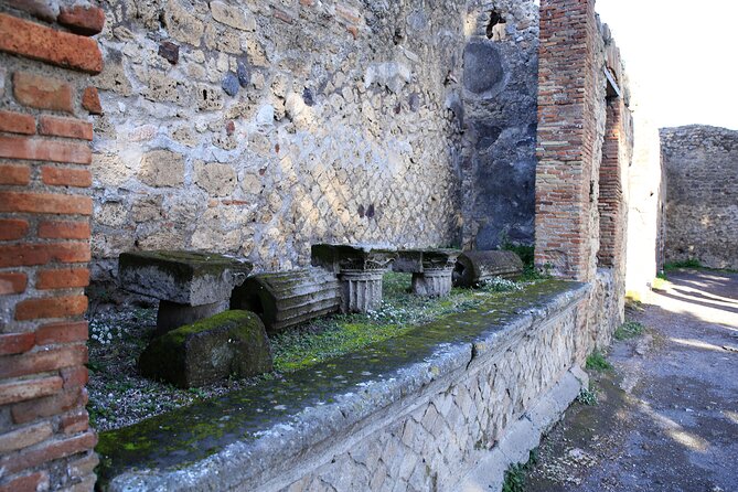 Skip-the-line Exclusive Private Full-Day Complete Ancient Pompeii Guided Tour - Skip-the-line access, and what it really means for your schedule