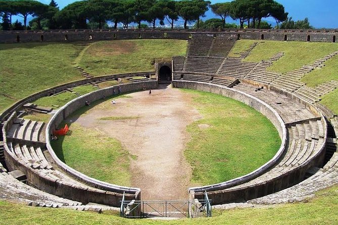 Skip-the-Line Pompeii and Vesuvius Tour - Who this Pompeii and Vesuvius tour suits best