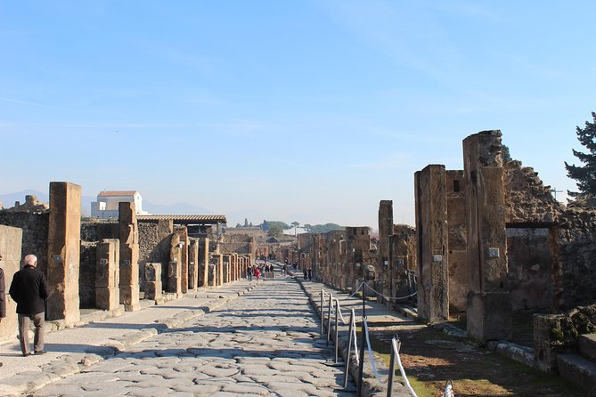 Skip-the-Line Pompeii Archaeological Site with Private Guide - Meet your guide and set a comfortable walking pace