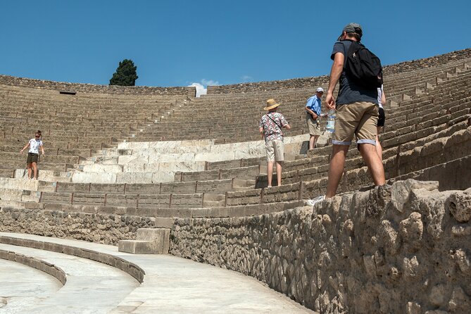 Skip the Line: Pompeii Express Small Group Guided Tour - Price and Value: Why $52.04 Can Make Sense