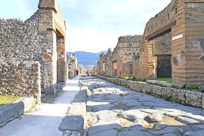 Skip-the-Line Pompeii & Volcano Vesuvius Day Tour w Hotel or Port Pickup - Transfers that keep the day from unraveling: door-to-door convenience