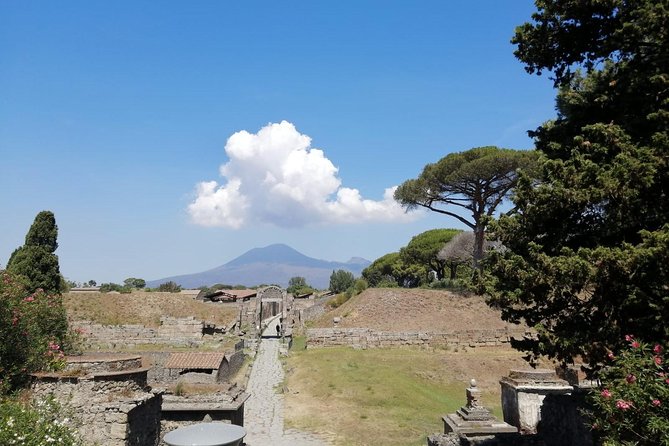 Skip-the-Line Pompeii & Volcano Vesuvius Day Tour w Hotel or Port Pickup - Pompeii in a tight, high-impact tour: Lupanar, Forum, and the city’s daily rhythm