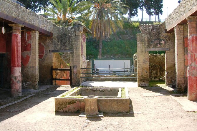 Skip the line Ticket Herculaneum Guided Tour 4 hrs - House of the Hotel: the largest house and the spa-district clue