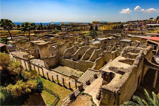 Skip the line Ticket Herculaneum Guided Tour 4 hrs - Parco Archeologico di Ercolano with an authorized English guide for 1.5 hours