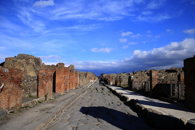 Skip the Line Tour of Pompeii for Kids & Families - Skip-The-Line Entry: The Best Time Saver for Families in Pompeii