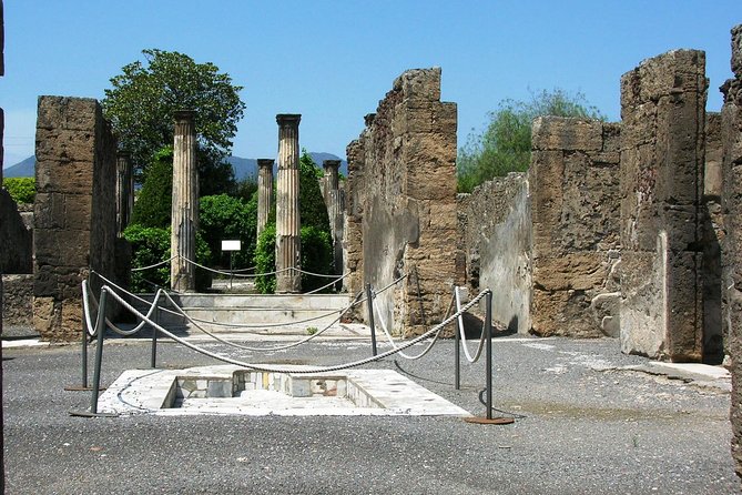 Skip-the-lines Private Tour of Pompeii Including the Theatre the Forum and all Highlights - Price and value: what $227.58 buys you (and what it does not)