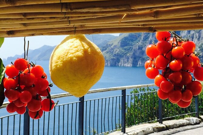 Small Group Amalfi Coast Tour from Sorrento in a Mercedes Van - Amalfi for 1 hour, then the Duomo di Sant’Andrea stop