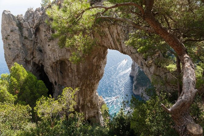 Small Group Boat Day Excursion to Capri Island from Amalfi - Key things that make this Capri day tick