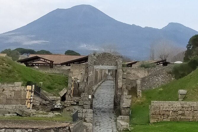 Small-Group Tour in Pompeii with a Real Archeologist, ticket included - Casa del Fauno: a house known by one bronze statue
