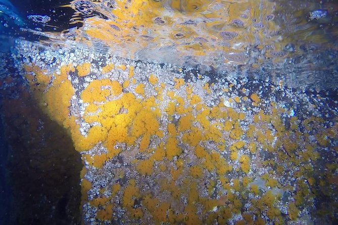 Snorkeling among the Underwater Caves of Ischia Ponte - Aragonese Castle front and the CO2 bubbles near 1 meter