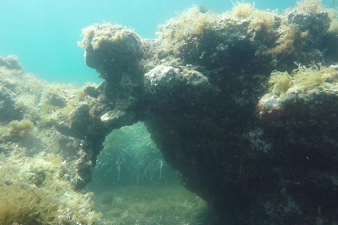 Snorkeling among the Underwater Caves of Ischia Ponte - Guides, safety, and what makes this operation feel solid