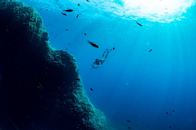 Snorkeling with Marine Biologist Expert from Sorrento - The Boat Ride: Learning the Coast Before You Enter the Water