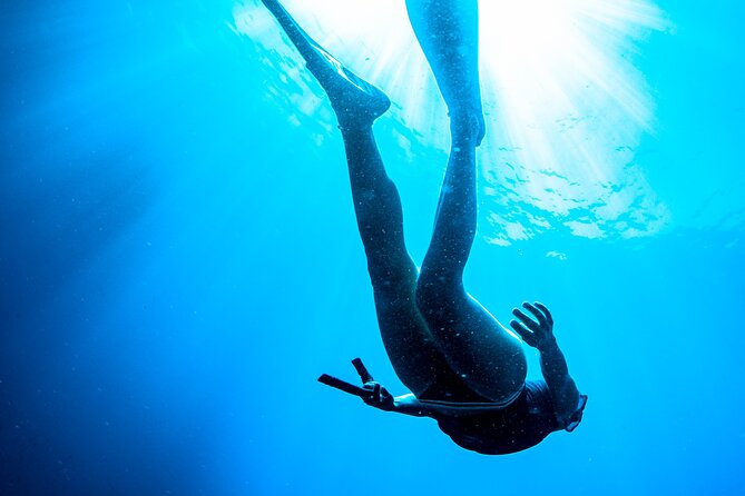 Snorkeling with Marine Biologist Expert from Sorrento - Snorkeling in Protected Coves: Caves, Sponges, Madrepores, and Fish