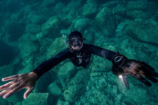 Snorkeling with Marine Biologist Expert from Sorrento - Cave Stop Reality Check: Access Can Change With Jellyfish and Conditions