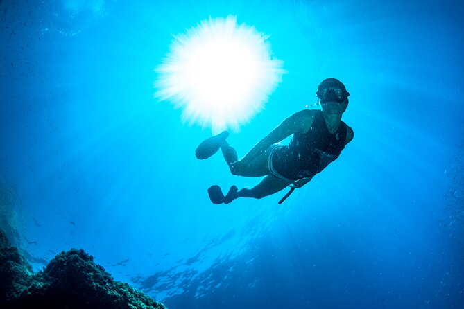 Snorkeling with Marine Biologist Expert from Sorrento - How the Marine Biologist Coaching Actually Makes a Difference