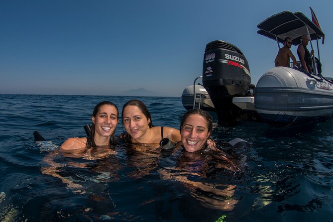 Snorkeling with Marine Biologist Expert from Sorrento - What You’ll Wear and Why the Provided Gear Helps