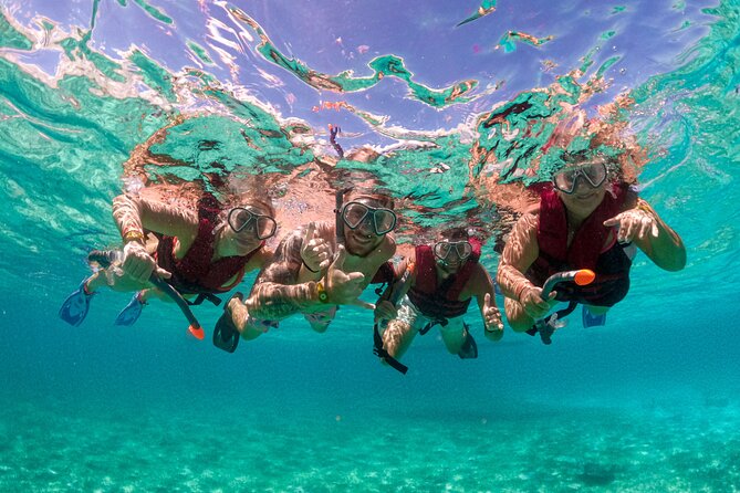 Snorkelling Experience - Why Punta Campanella snorkelling feels like the real deal