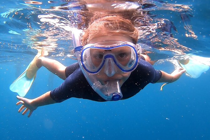 Snorkelling Experience - What you will see when the guide helps you look