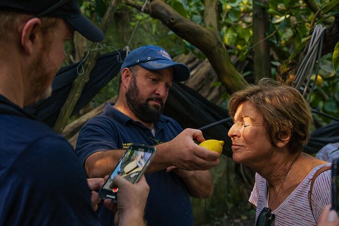 Sorrento Ape Tour, Lemon Garden, Mozzarella Show & Pizza Class - Key things to love about this Sorrento Ape Tour day
