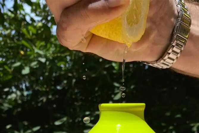 Sorrento: Authentic Lemon Experience at a Farm with Tastings - Price and Time: Does $77.44 Feel Fair?