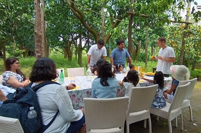 Sorrento: Authentic Lemon Experience at a Farm with Tastings - Getting There From Naples and Sorrento: Plan for Real Life