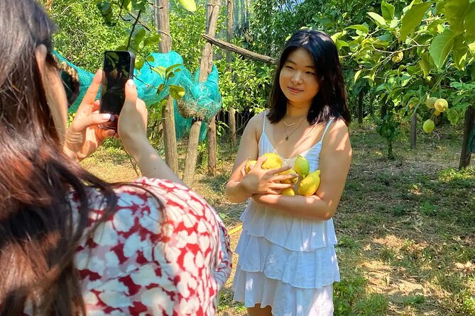 Sorrento: Authentic Lemon Experience at a Farm with Tastings - Who This Sorrento Lemon Tour Fits Best