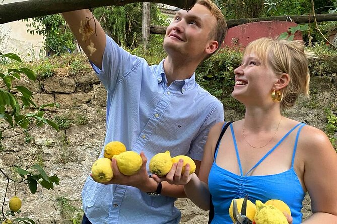 Sorrento: Authentic Lemon Experience at a Farm with Tastings - Making Lemonade With Fruit You Harvest