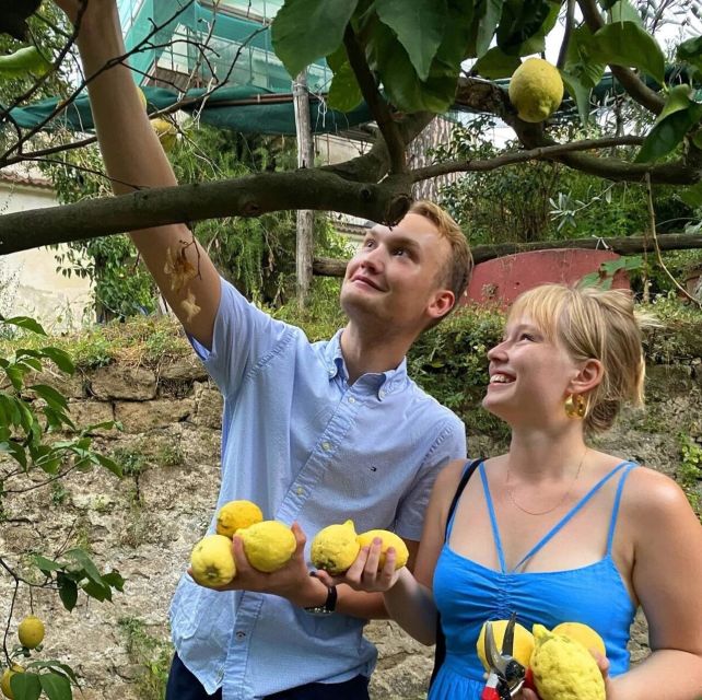 Sorrento: Authentic Lemon Experience in a Farm with Tastings - Your Lemonade Workshop: Fresh Juice, Simple Logic
