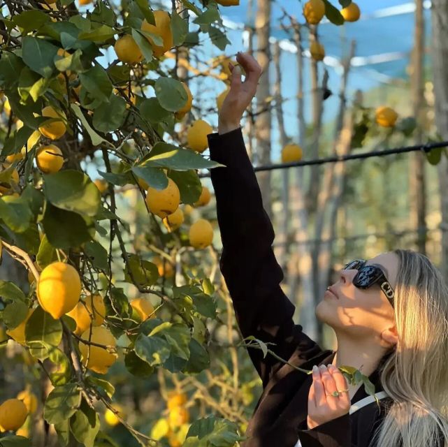 Sorrento: Authentic Lemon Experience in a Farm with Tastings - Price and Value: Is $73 Worth 1.5 Hours?