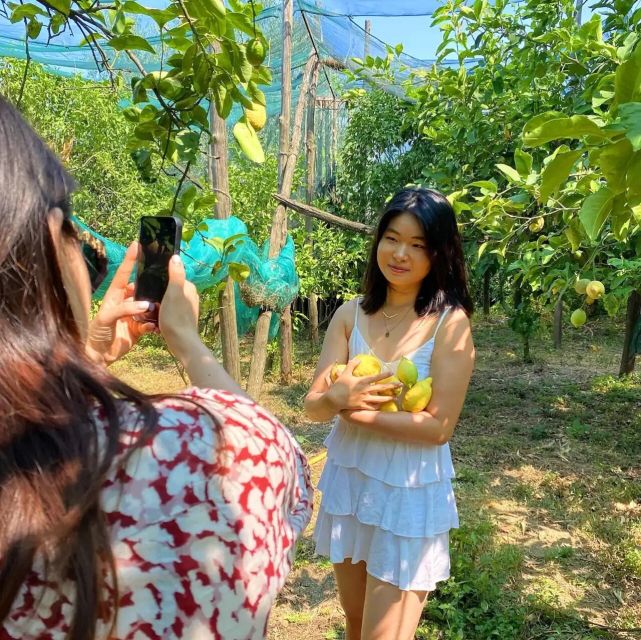 Sorrento: Authentic Lemon Experience in a Farm with Tastings - 90 Minutes of Lemon Work That Feels Real