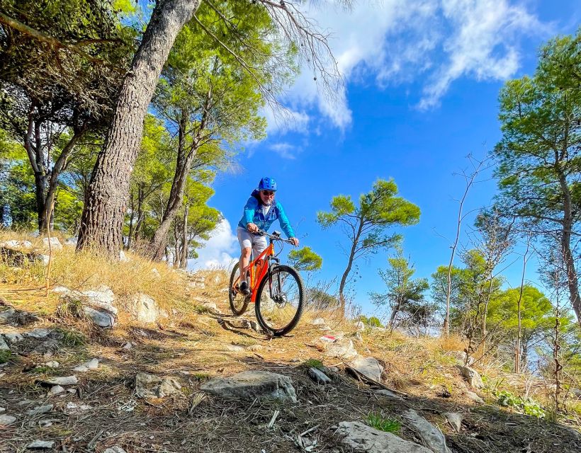 Sorrento Coast E-bike Fun Tour Experience - Through lemon groves and olive orchards, with Ulysses in the background