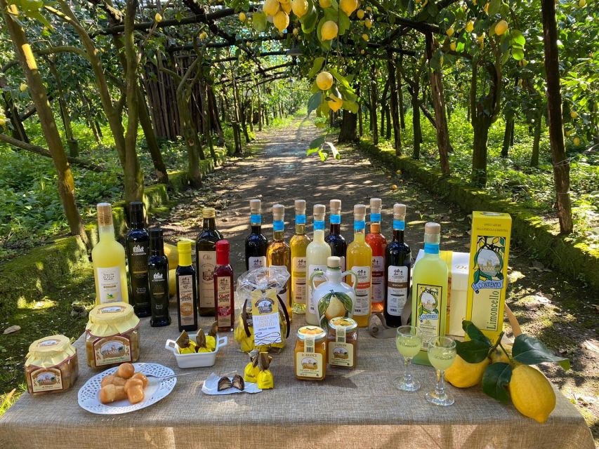 Sorrento: Coast E-Bike Tour with Limoncello Tasting - E-bike comfort meets real Sorrento countryside