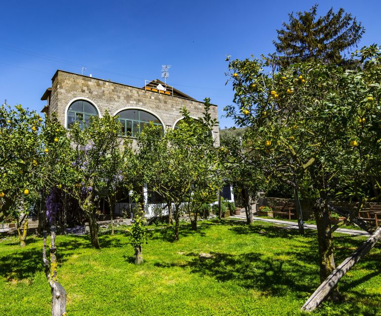 Sorrento: Coast E-Bike Tour with Limoncello Tasting - Limoncello tasting, plus other lemon products