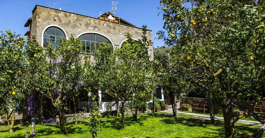 Sorrento: Coast E-Bike Tour with Limoncello Tasting - Where you meet and how the tour stays organized