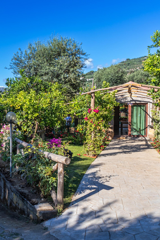 Sorrento Cooking Class: Taste the Tradition feel the Love - Free transport, the meeting point, and the one timing rule to remember