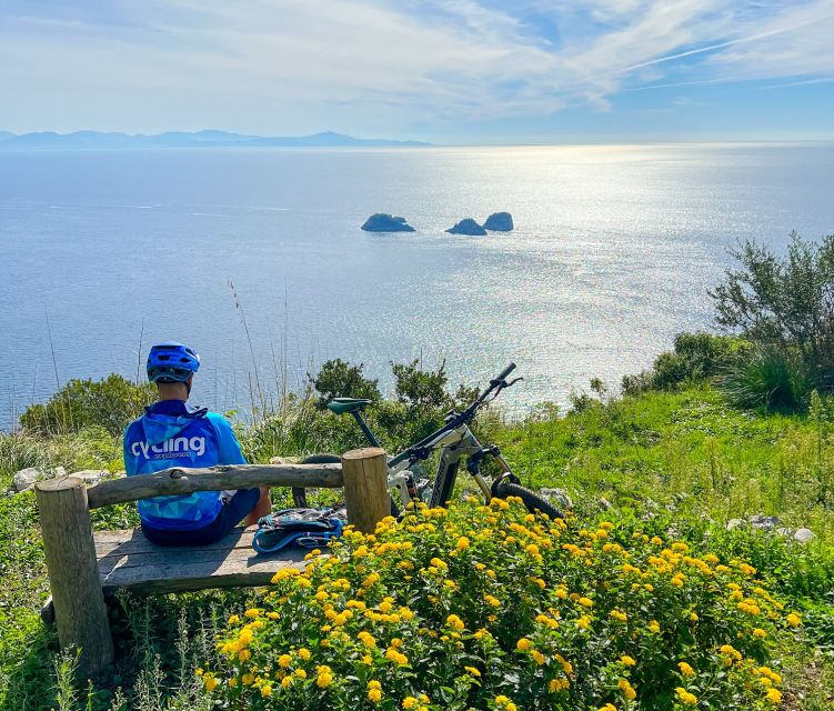 Sorrento: E-bike Oil & Lemon Tour with Tasting - Why This Oil-and-Lemon E-Bike Tour Works in Sorrento