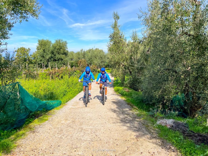 Sorrento: E-bike Oil & Lemon Tour with Tasting - Stop to Taste at the Olive Oil Mill: tradition, modern production, and the real DOP samples