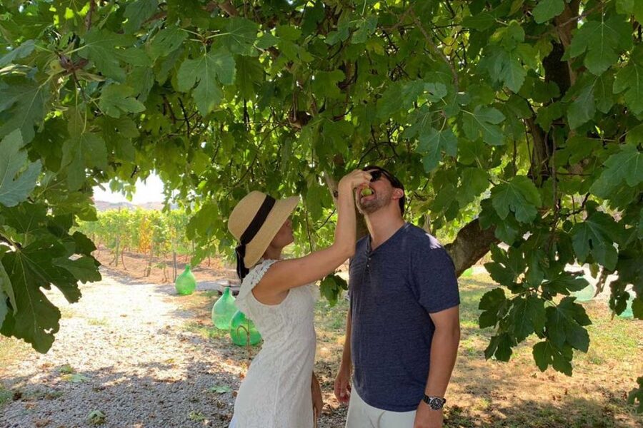 Sorrento: Family Farm Experience with Lunch - Arriving at a family farm: what you’ll actually see