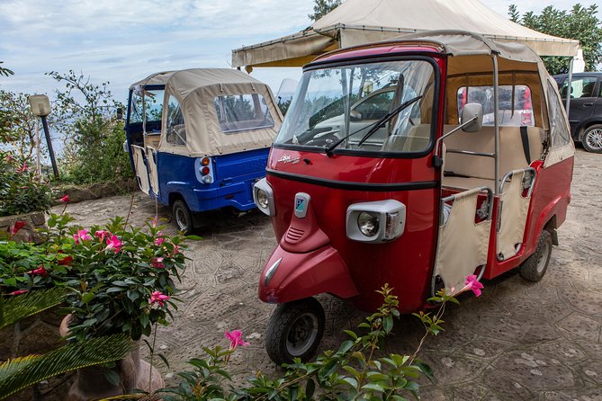 Sorrento Farm by Tuk Tuk: Cheese, Limoncello & Hands-On Pizza - Limoncello and dessert: the family recipe story, end-of-day calm