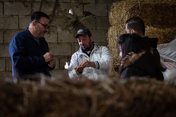 Sorrento Farm by Tuk Tuk: Cheese, Limoncello & Hands-On Pizza - Should you book Sorrento Farm by Tuk Tuk?