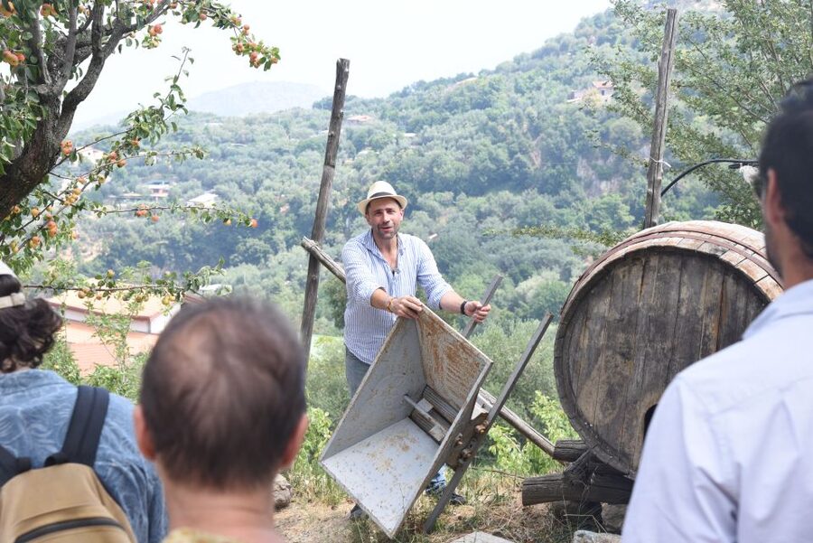 Sorrento: Farm Tour with Cheese Tasting & Pizza Making Class - Mozzarella and Caciotta Spinning, Plus Taste