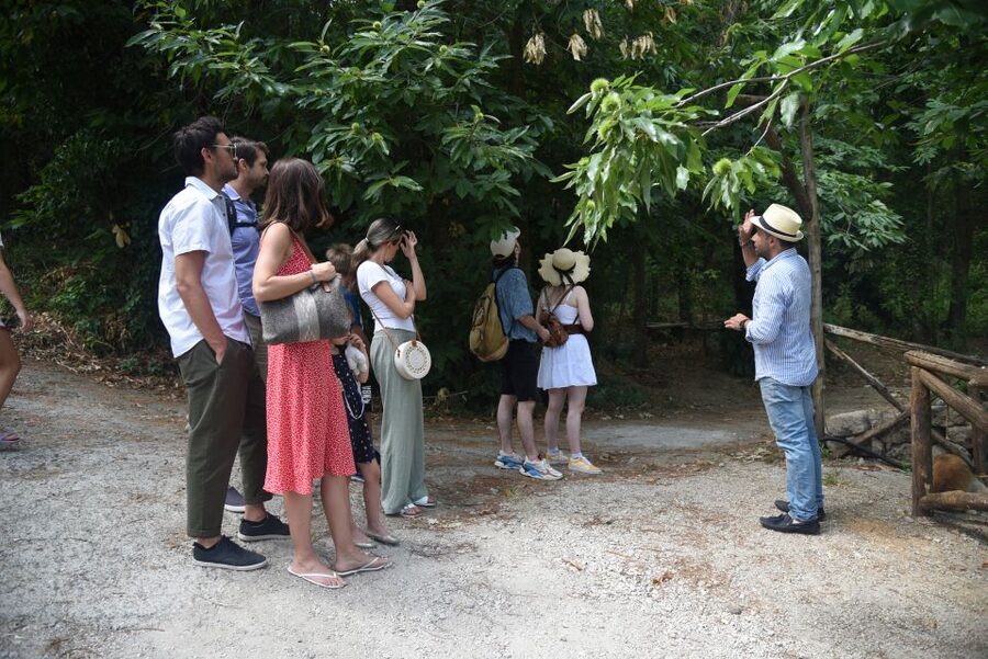 Sorrento: Farm Tour with Cheese Tasting & Pizza Making Class - Should You Book This Sorrento Farm Tour?