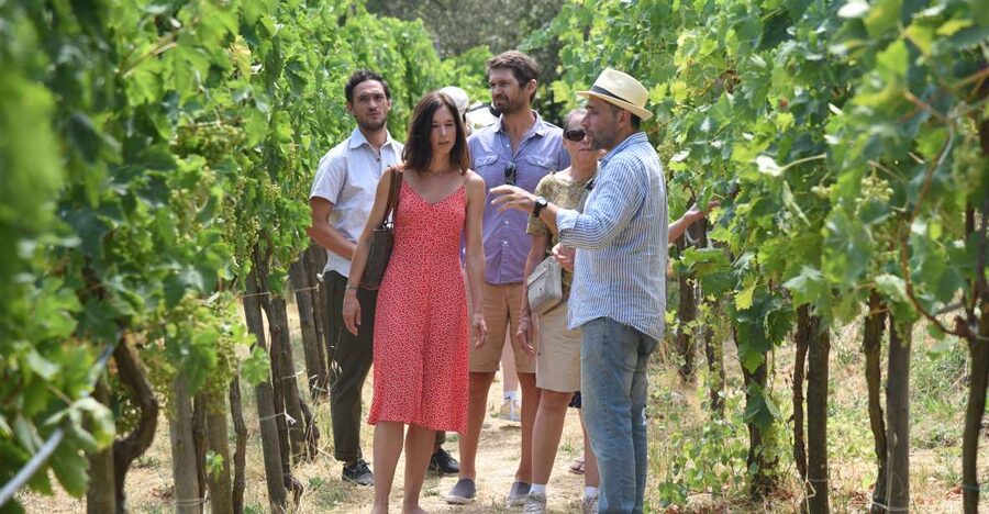 Sorrento: Farm Tour with Cheese Tasting & Pizza Making Class - A Real Farm Walk: Animals, Crops, Vines, and Oil Area