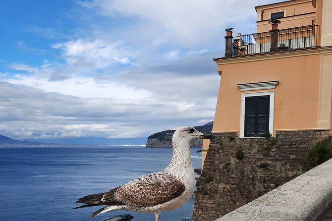 Sorrento grand tour off the beaten track with breathtaking landscapes - Piazza della Vittoria and the Sirens myth, with a real-world payoff