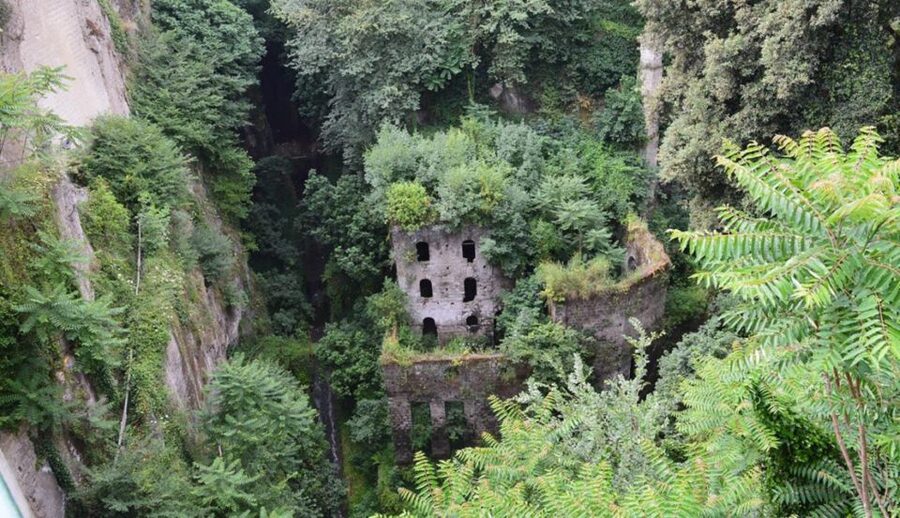 Sorrento: Guided Walking Tour & Limoncello Tasting - Lemon garden first, then the limoncello logic