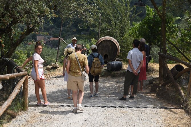 Sorrento Half-Day Farm Experience: Pizza, Cheese Making and Wine - D.O.P. farm life: animals, organic vegetables, and sustainability you can see