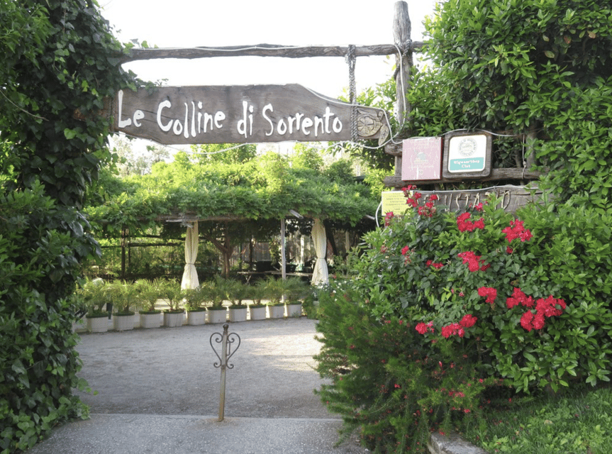 Sorrento: Lemon Garden Guided Tour with Tastings - Key Things To Know Before You Go