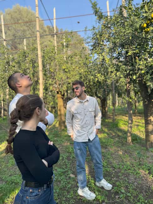 Sorrento: Lemon Picking & Tasting Tour - The small group matters more than you think