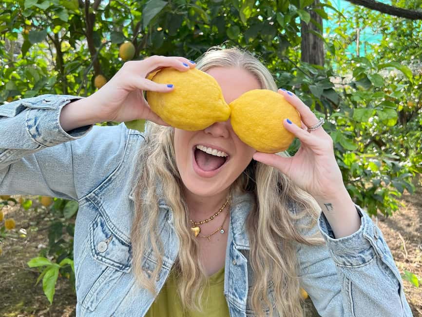 Sorrento: Lemon Picking & Tasting Tour - The orchard-to-table flow across two farms